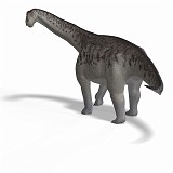 Camarasaurus 06 A_0001